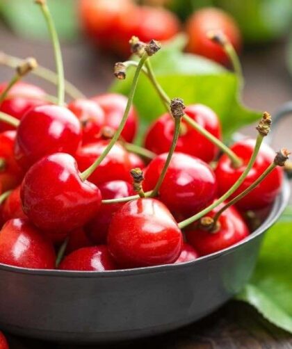 Cherry-Benefits.jpg
