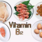 Foods That Contain Vitamin B12